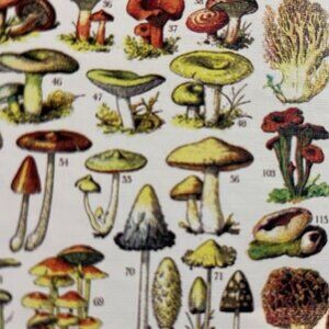 Mushrooms Champignons 1000 Piece Puzzle